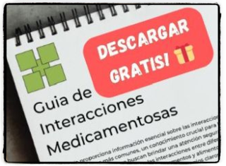 Guia de Interacciones - ITDZ 🧡