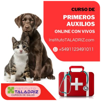 primeros auxilos para personas y mascotas